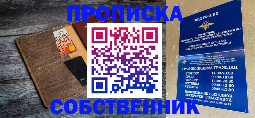 временная регистрация надежно в Опочке